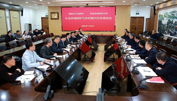座谈会现场_副本.jpg