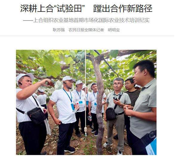 0f94988ccf396584121dc0cf7d17c6de_副本.png