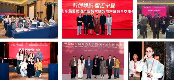 图片 4.png