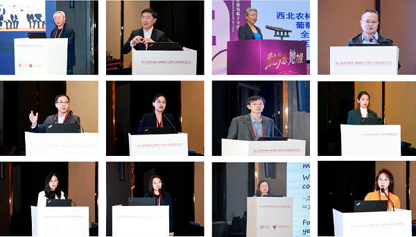 图片 2.png